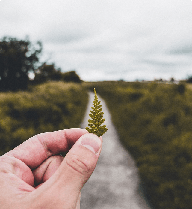 Hand holding a small green leaf in front of a blurred countryside road and fields.