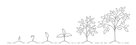 Line illustration showing a plant growing from sprout to small tree in five stages on a dotted baseline.